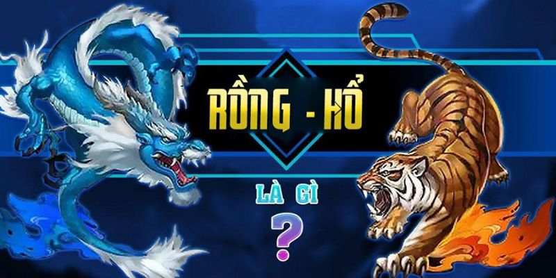 Lý do nên chọn 789club để chơi rồng hổ 